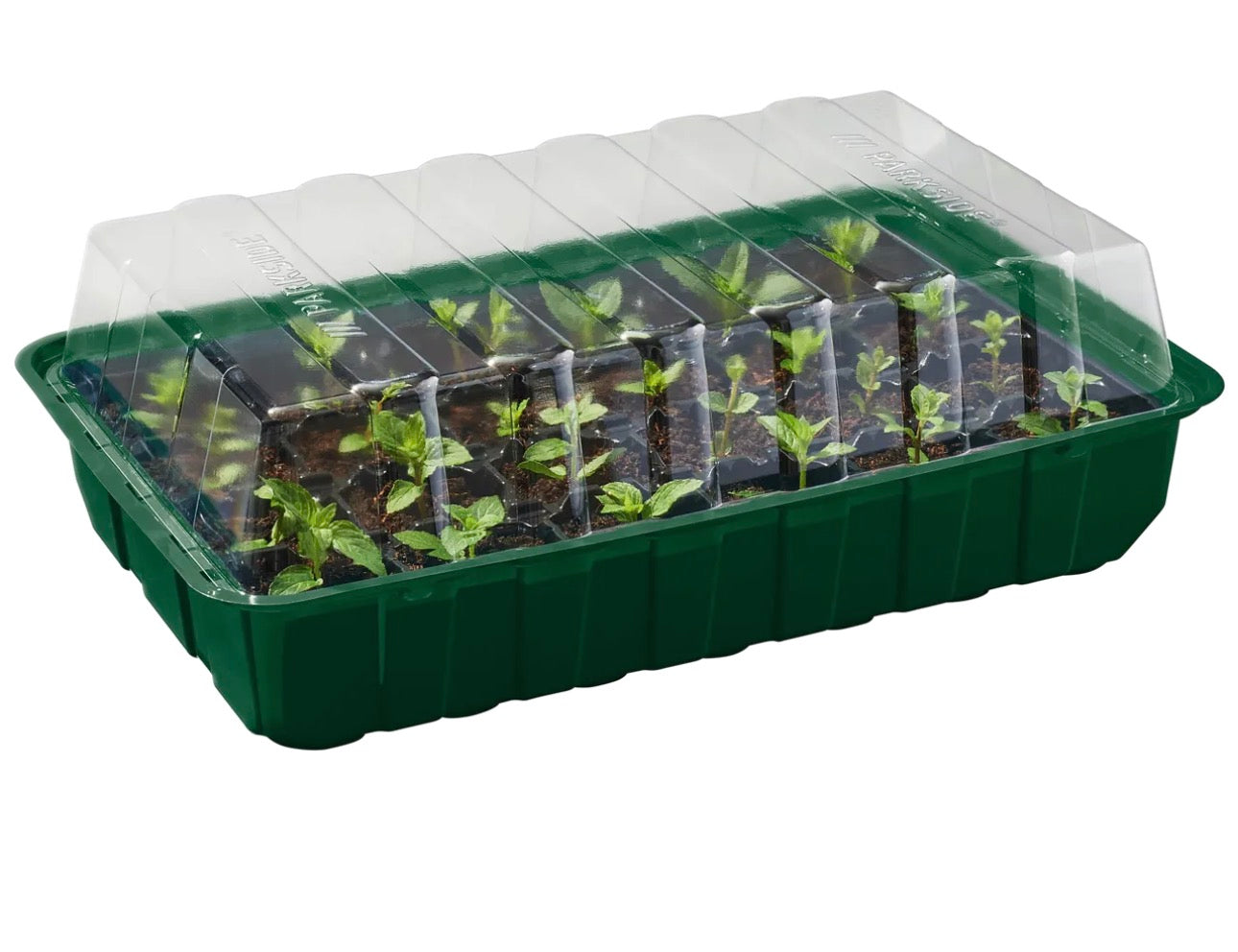 Set mini serra Parkside